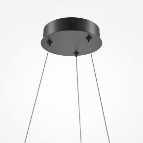 Подвесной светильник Maytoni Curve MOD241PL-L60BK в Лабытнанги - labytnangi.mebel24.online | фото 6