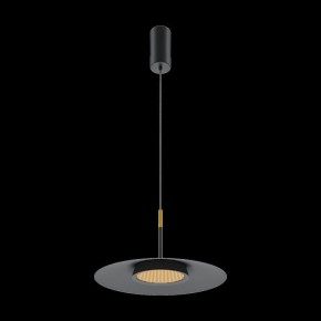 Подвесной светильник Maytoni Halo MOD041PL-L15B3K1 в Лабытнанги - labytnangi.mebel24.online | фото 4
