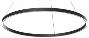 Подвесной светильник Maytoni Rim MOD058PL-L54BK в Лабытнанги - labytnangi.mebel24.online | фото