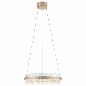 Подвесной светильник ST-Luce Cherio SL383.203.01 в Лабытнанги - labytnangi.mebel24.online | фото 3