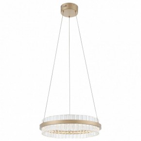 Подвесной светильник ST-Luce Cherio SL383.203.01 в Лабытнанги - labytnangi.mebel24.online | фото 4