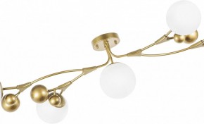 Потолочная люстра Lightstar Croco 815553 в Лабытнанги - labytnangi.mebel24.online | фото 6
