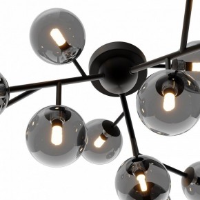Потолочная люстра Maytoni Dallas MOD545CL-12B в Лабытнанги - labytnangi.mebel24.online | фото 3