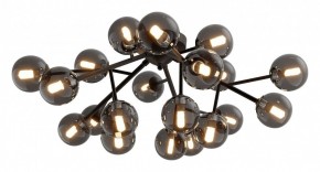 Потолочная люстра Maytoni Dallas MOD545CL-20B в Лабытнанги - labytnangi.mebel24.online | фото 2