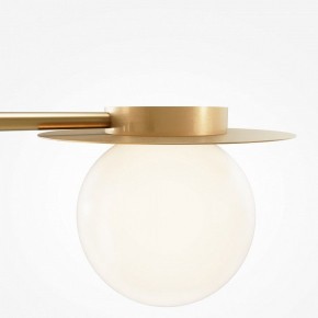 Потолочная люстра Maytoni Star sky MOD291CL-04BS в Лабытнанги - labytnangi.mebel24.online | фото 5