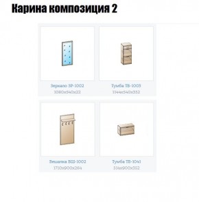 Прихожая Карина (модульная) в Лабытнанги - labytnangi.mebel24.online | фото 6