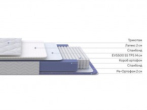 PROxSON Матрас Active Duo S/F (Ткань Трикотаж Эко) 160x190 в Лабытнанги - labytnangi.mebel24.online | фото 3