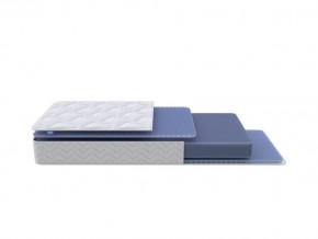 PROxSON Матрас Active Flex M (Ткань Трикотаж Эко) 160x190 в Лабытнанги - labytnangi.mebel24.online | фото 1