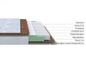 PROxSON Матрас Green Duo M/F (Tricotage Dream) 120x190 в Лабытнанги - labytnangi.mebel24.online | фото 2