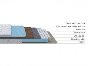 PROxSON Матрас Совенок (Cotton Little PROSON) 60x150 в Лабытнанги - labytnangi.mebel24.online | фото 2