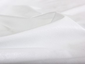 PROxSON Защитный чехол Aqua Save Light Top (Ткань влагостойкая Tencel Jersey) 160x190 в Лабытнанги - labytnangi.mebel24.online | фото 4
