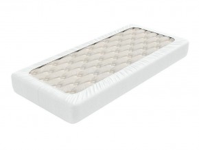 PROxSON Защитный чехол Aqua Save Plush S (Ткань влагостойкая Coral Fleece) 200x195 в Лабытнанги - labytnangi.mebel24.online | фото 2