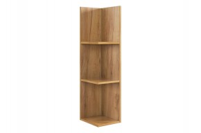РИЧ Полка навесная 2 в Лабытнанги - labytnangi.mebel24.online | фото 4