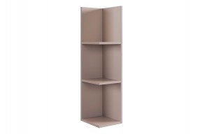 РИЧ Полка навесная 2 (кашемир) в Лабытнанги - labytnangi.mebel24.online | фото 4