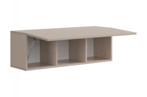 РИЧ Шкаф навесной в Лабытнанги - labytnangi.mebel24.online | фото 6
