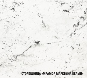 ШЕЛЛИ Кухонный гарнитур Экстра (3000 мм) в Лабытнанги - labytnangi.mebel24.online | фото 5