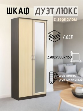 Шкаф 2-х створчатый Дуэт Люкс с зеркалом в Лабытнанги - labytnangi.mebel24.online | фото