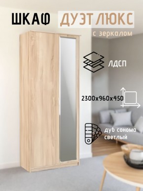 Шкаф 2-х створчатый Дуэт Люкс с зеркалом в Лабытнанги - labytnangi.mebel24.online | фото 7