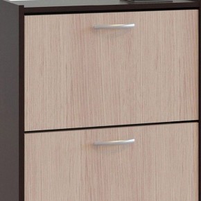 Шкаф для обуви ТО-24 в Лабытнанги - labytnangi.mebel24.online | фото 4