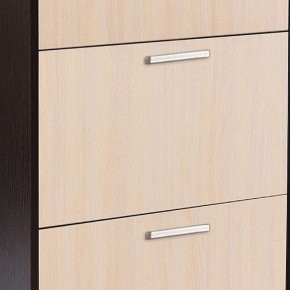 Шкаф для обуви УК-4 в Лабытнанги - labytnangi.mebel24.online | фото 2
