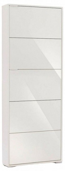 Шкаф для обуви Viva-5S в Лабытнанги - labytnangi.mebel24.online | фото