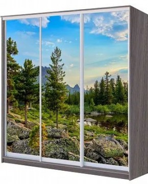 Шкаф-купе ХИТ 22-20/2-777 ПРИРОДА в Лабытнанги - labytnangi.mebel24.online | фото
