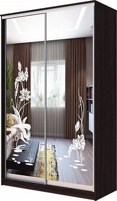 Шкаф-купе ХИТ 23-15-66 ЦАПЛИ в Лабытнанги - labytnangi.mebel24.online | фото