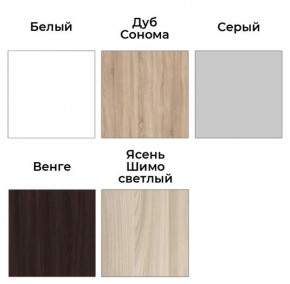 Шкаф-купе ХИТ 23-24/2-7777 (620) в Лабытнанги - labytnangi.mebel24.online | фото 2
