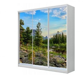 Шкаф-купе ХИТ 23-4-20-777 (420) в Лабытнанги - labytnangi.mebel24.online | фото