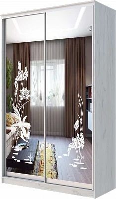Шкаф-купе ХИТ 24-14-66 ЦАПЛИ в Лабытнанги - labytnangi.mebel24.online | фото
