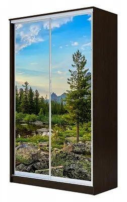 Шкаф-купе ХИТ 24-17-77 ПРИРОДА в Лабытнанги - labytnangi.mebel24.online | фото