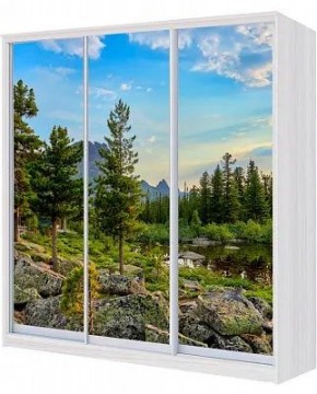 Шкаф-купе ХИТ 24-18/2-777 ПРИРОДА в Лабытнанги - labytnangi.mebel24.online | фото