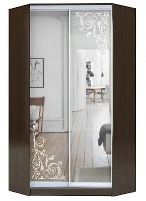 Шкаф-купе ХИТ-У-23-4-66 ОРНАМЕНТ в Лабытнанги - labytnangi.mebel24.online | фото