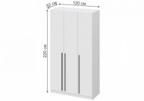 Шкаф платяной Бирма ШК-1200 в Лабытнанги - labytnangi.mebel24.online | фото 4