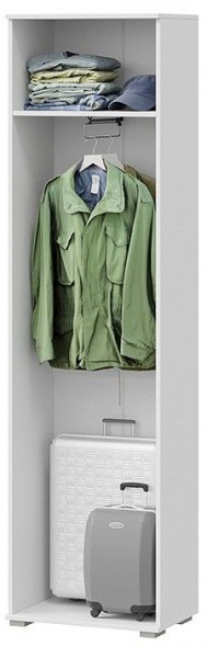 Шкаф платяной Эрика в Лабытнанги - labytnangi.mebel24.online | фото 2