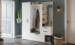 Шкаф платяной Эрика в Лабытнанги - labytnangi.mebel24.online | фото 3