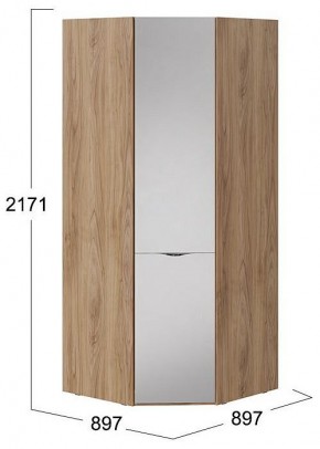 Шкаф платяной Глосс СМ-319.07.312 в Лабытнанги - labytnangi.mebel24.online | фото 4