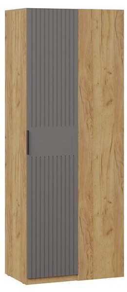 Шкаф платяной Хилтон в Лабытнанги - labytnangi.mebel24.online | фото