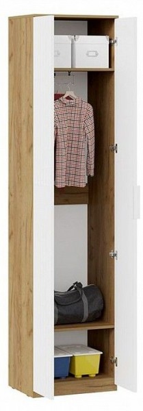 Шкаф платяной Хилтон Исп. 2 в Лабытнанги - labytnangi.mebel24.online | фото 3