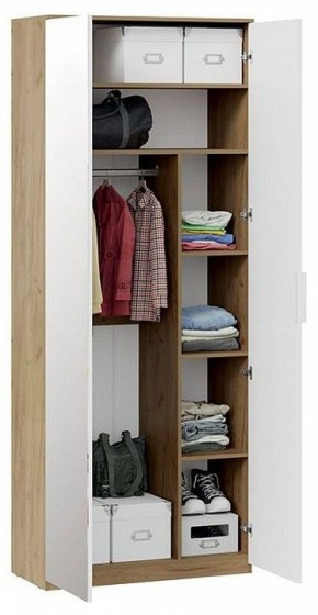 Шкаф платяной Хилтон Исп. 2.1 в Лабытнанги - labytnangi.mebel24.online | фото 4