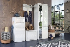 Шкаф платяной Норден СТЛ.413.01 в Лабытнанги - labytnangi.mebel24.online | фото 4