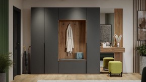 Шкаф платяной Порто СМ-393.07.223 в Лабытнанги - labytnangi.mebel24.online | фото 11