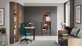 Шкаф платяной Порто СМ-393.07.223 в Лабытнанги - labytnangi.mebel24.online | фото 9