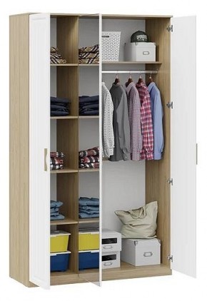 Шкаф платяной Сэнди в Лабытнанги - labytnangi.mebel24.online | фото 3