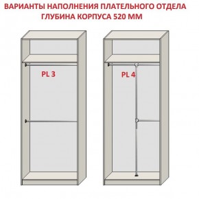 Шкаф распашной серия «ЗЕВС» (PL3/С1/PL2) в Лабытнанги - labytnangi.mebel24.online | фото 10