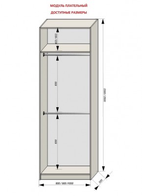 Шкаф распашной серия «ЗЕВС» (PL3/С1/PL2) в Лабытнанги - labytnangi.mebel24.online | фото 12