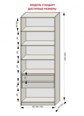 Шкаф распашной серия «ЗЕВС» (PL3/С1/PL2) в Лабытнанги - labytnangi.mebel24.online | фото 13