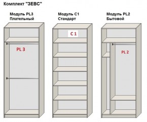 Шкаф распашной серия «ЗЕВС» (PL3/С1/PL2) в Лабытнанги - labytnangi.mebel24.online | фото 2