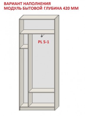 Шкаф распашной серия «ЗЕВС» (PL3/С1/PL2) в Лабытнанги - labytnangi.mebel24.online | фото 4