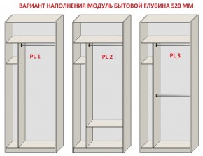 Шкаф распашной серия «ЗЕВС» (PL3/С1/PL2) в Лабытнанги - labytnangi.mebel24.online | фото 5